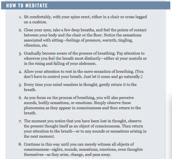 sam harris, meditation instructions